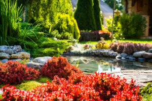 landscape design