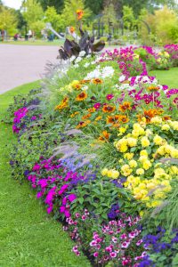 Colorful park